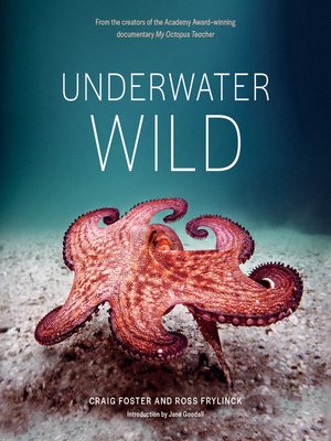 cover image of Underwater Wild